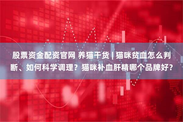 股票资金配资官网 养猫干货 | 猫咪贫血怎么判断、如何科学调理？猫咪补血肝精哪个品牌好？