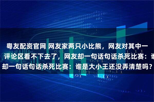 粤友配资官网 网友家两只小比熊,网友对其中一只偏心非常,处处袒护,评论区看不下去了,网友却一句话句话杀死比赛:谁是大小王还没弄清楚吗?
