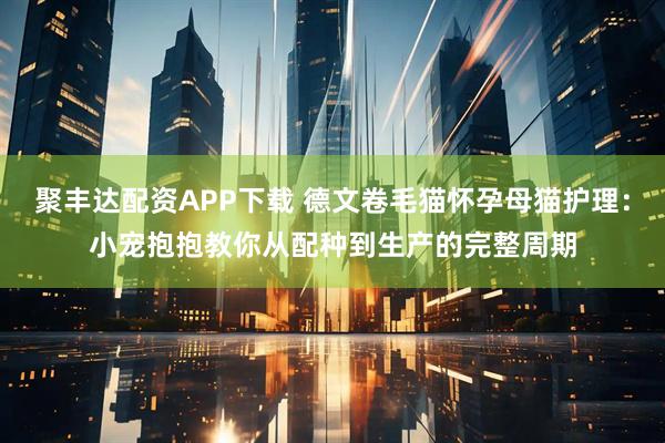 聚丰达配资APP下载 德文卷毛猫怀孕母猫护理：小宠抱抱教你从配种到生产的完整周期